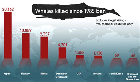 when was whaling banned.